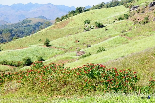 Xã Mường Sang - Mộc Châu