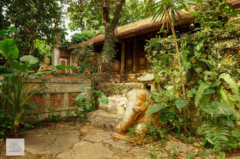 Zen Villa với kiến trúc hiện đại và không gian xanh