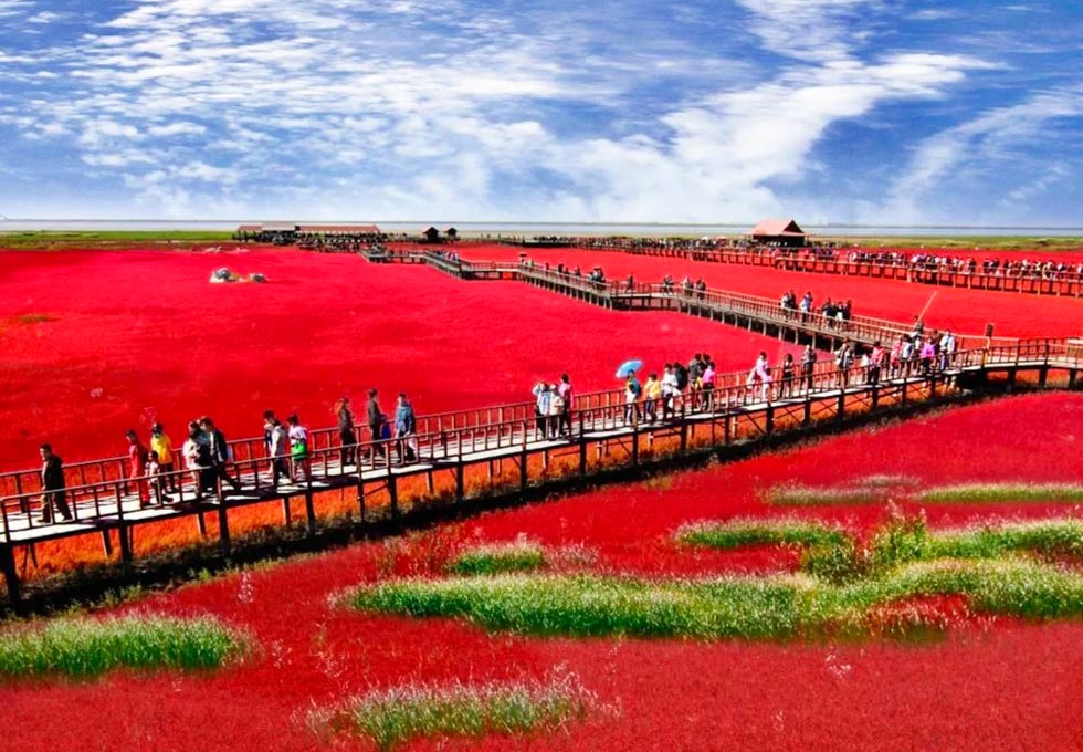 Lối đi bộ bằng gỗ giữa Biển Đỏ