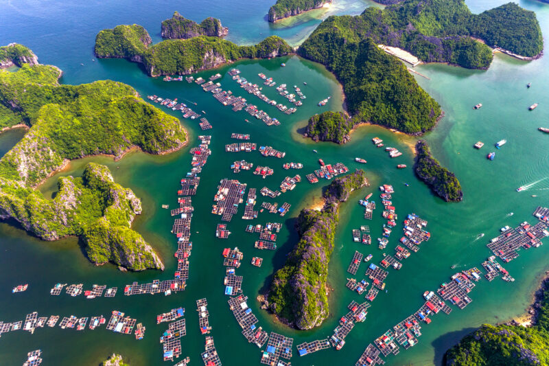 Trải nghiệm chèo thuyền kayak ở Vịnh Lan Hạ