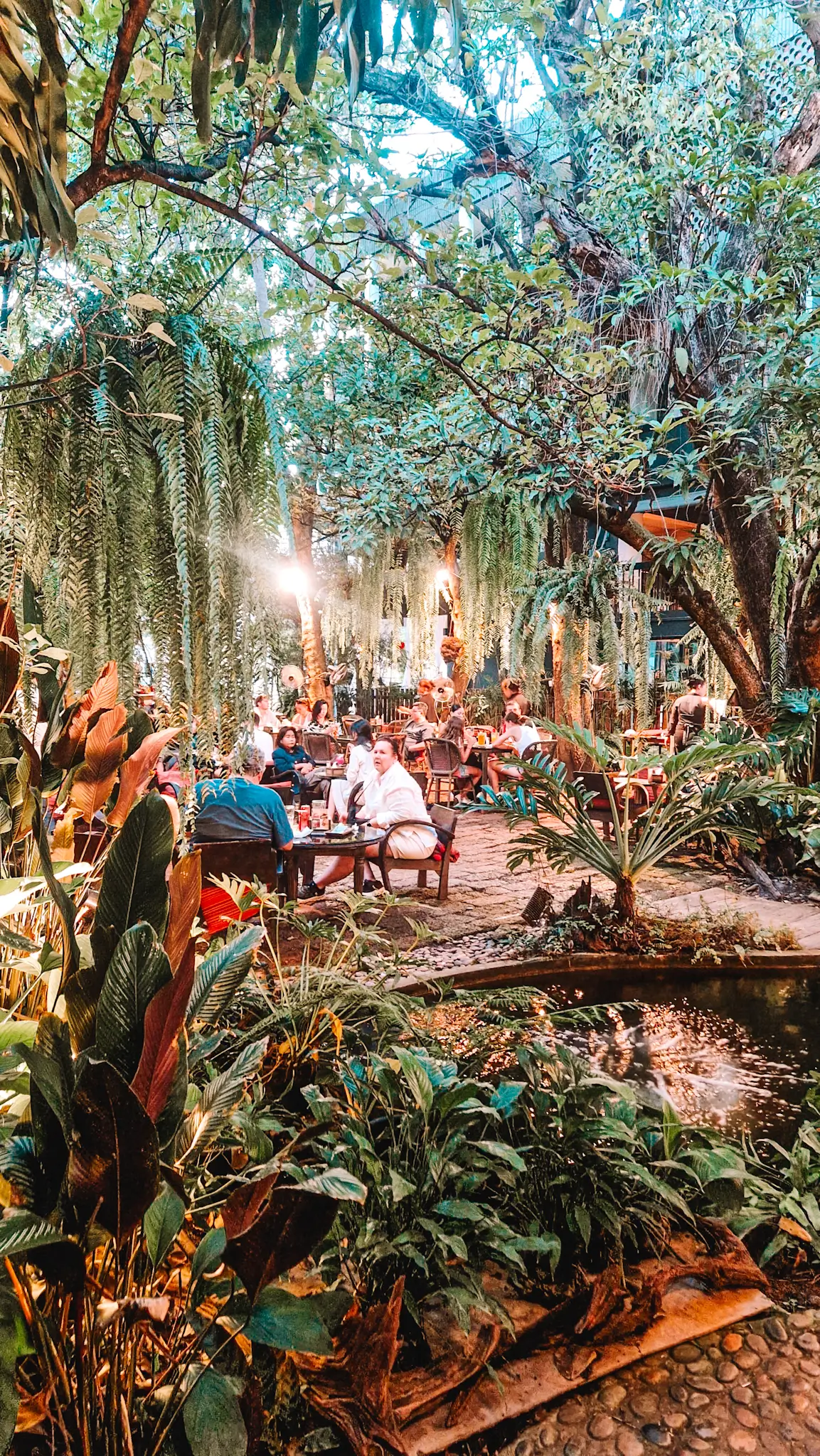 Một quán cà phê xinh xắn ở Chiang Mai