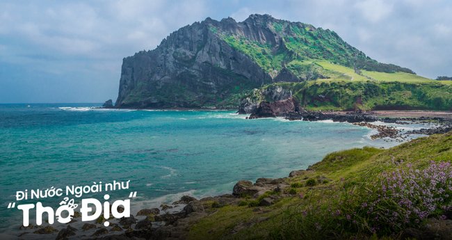 Cảnh quan thiên nhiên tươi đẹp của Đảo Jeju với biển xanh và núi đá