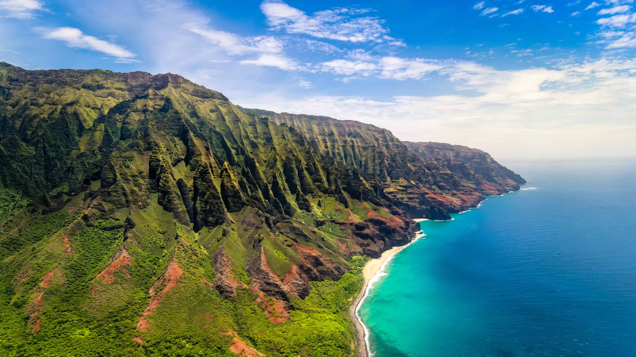Chuyện Cứu Chim Thiên Đường Hawaii: Khi “Kẻ Thù” Hóa “Anh Hùng” Bất Đắc Dĩ