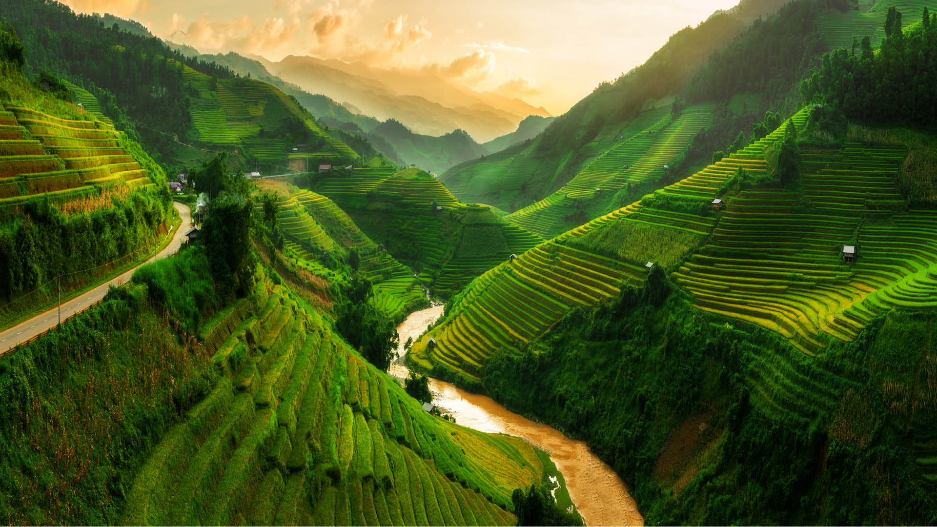 Ruộng bậc thang Sa Pa