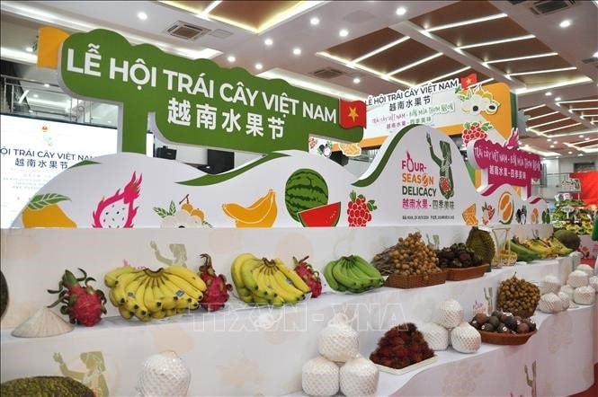 Chuyện về Vua Dưa Hấu Bắc Kinh: Khám phá bí mật sau trái dưa 97.75kg!