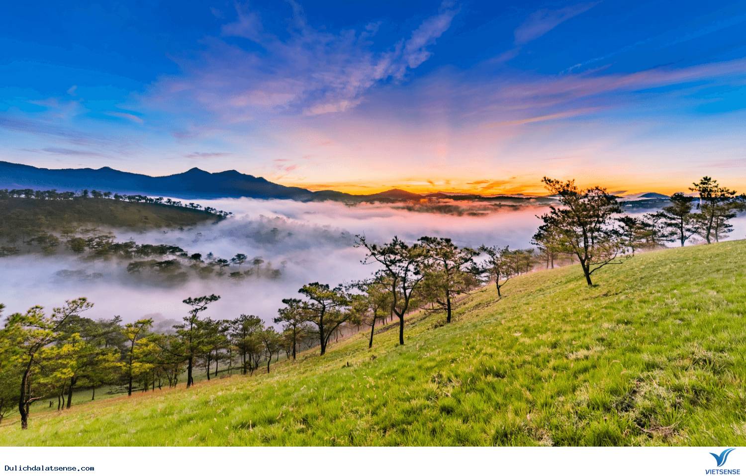 Con đường thơ mộng ở Đà Lạt