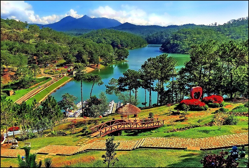 Khung cảnh lãng mạn ở một đồi thông Đà Lạt