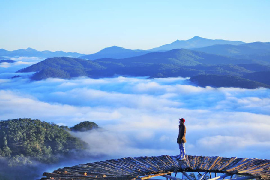 Săn mây Đồi chè Cầu Đất