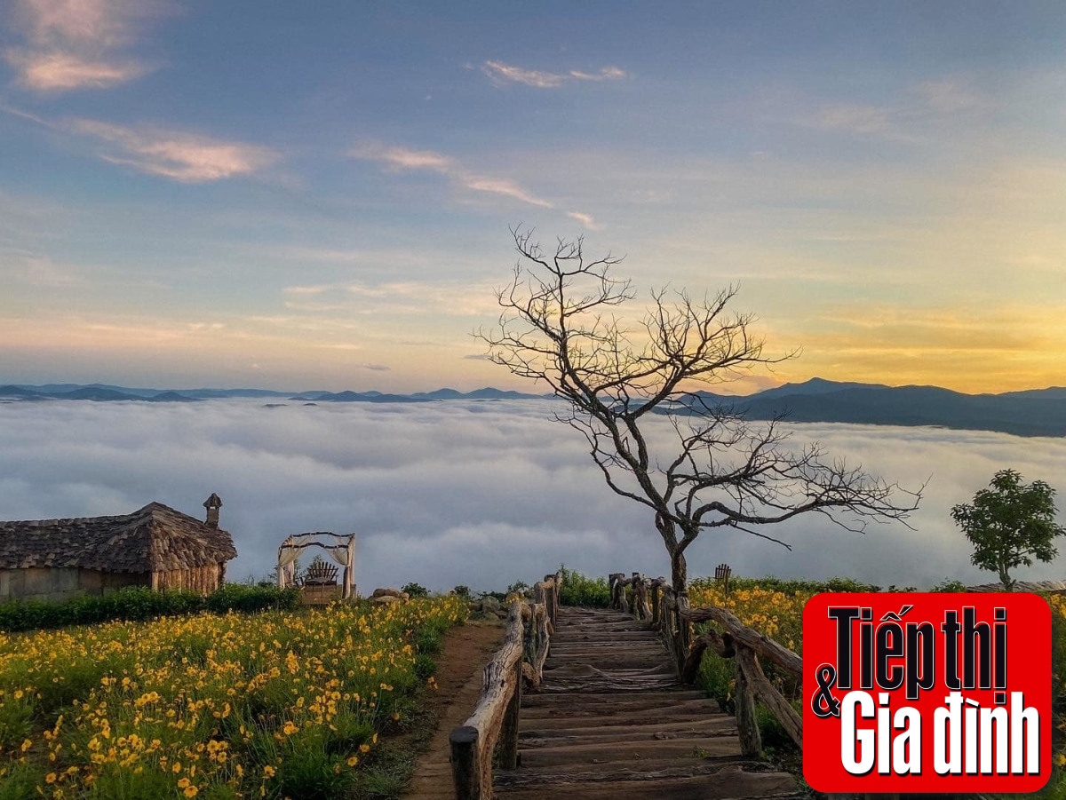 Săn mây Đà Lạt từ homestay