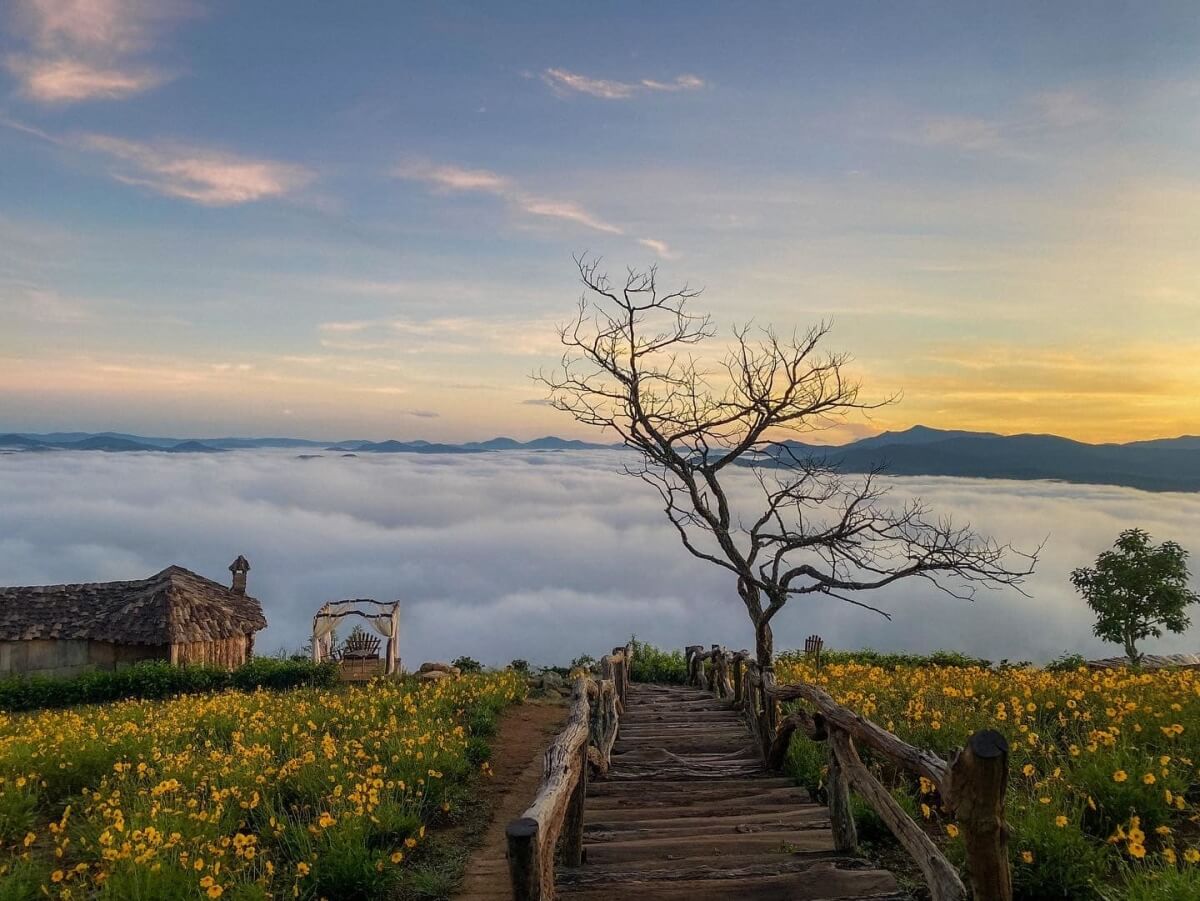 Biển mây bồng bềnh ở Đà Lạt đón bình minh