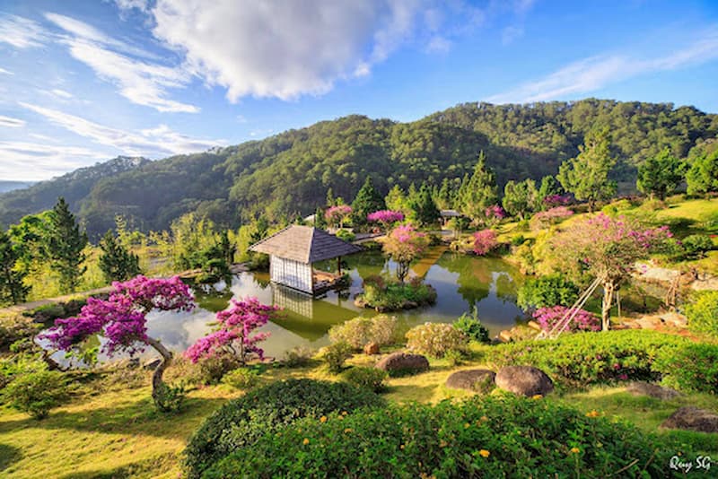 Vườn hoa cẩm tú cầu nở rộ ở Đà Lạt