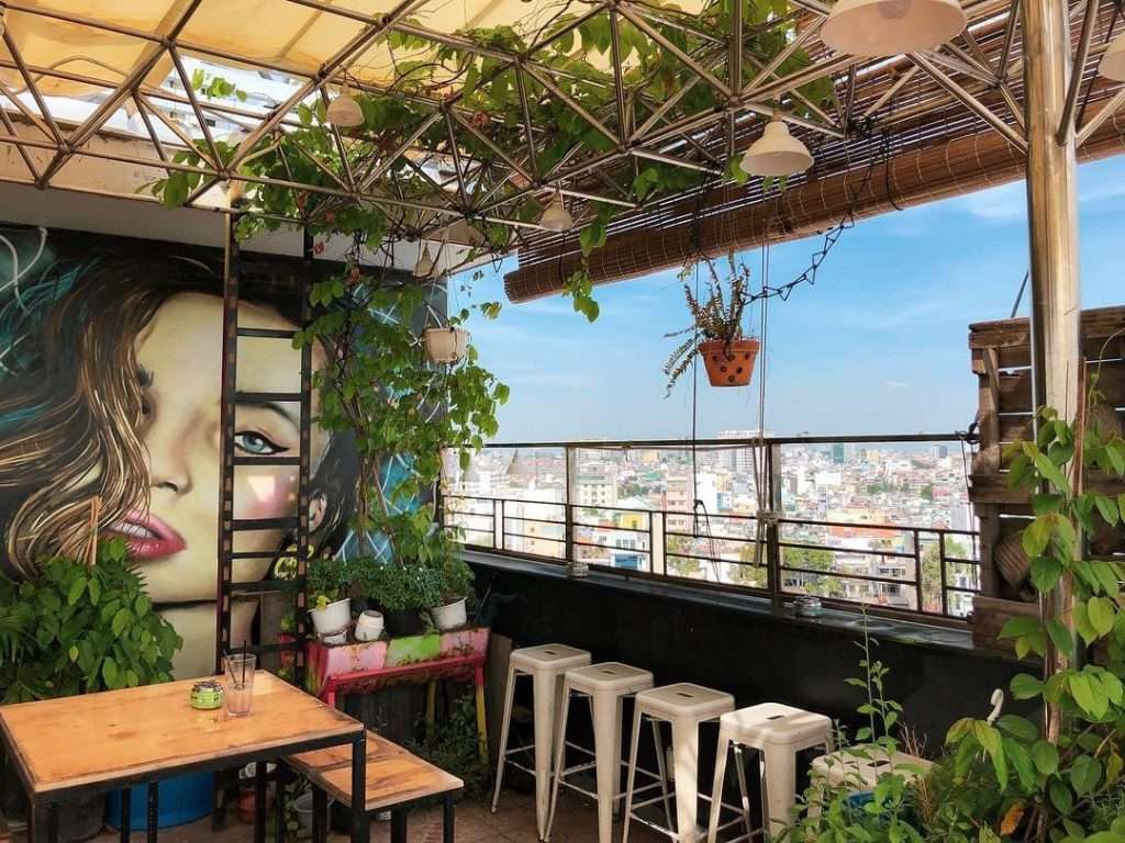 Khu vườn cúc họa mi ở Túi Mơ To