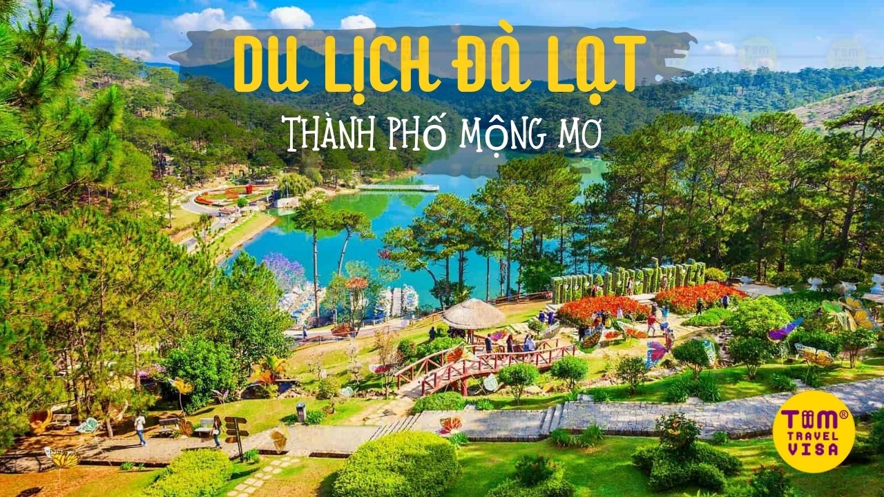 Khung cảnh lãng mạn trên hồ Tuyền Lâm với mặt trời lặn sau rặng thông