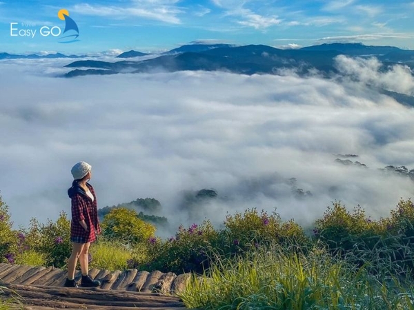 Săn mây Đồi Chè Cầu Đất