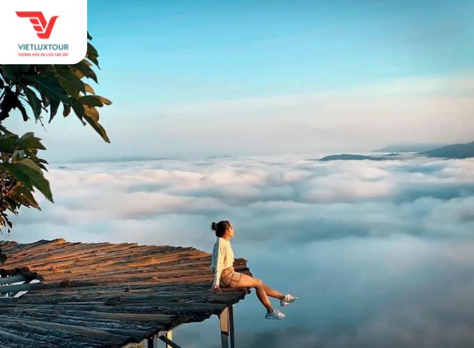 Bình minh trên đồi chè Cầu Đất, săn mây Đà Lạt
