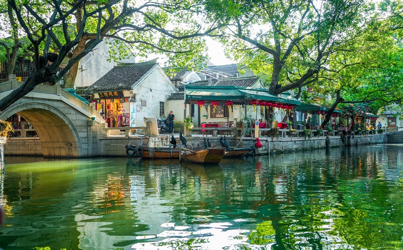 Dạo bước Sư Tử Lâm, nghe đá kể chuyện tình ở Tô Châu cổ kính 🌸