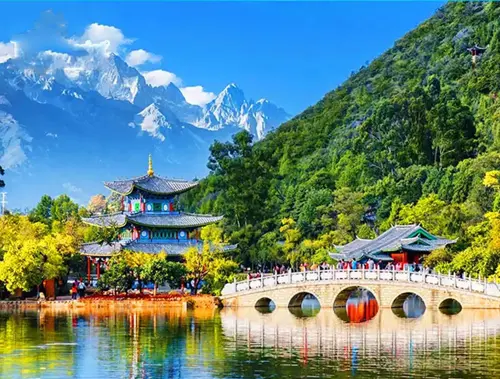 Góc nhìn toàn cảnh Sư Tử Lâm với hồ nước, cầu đá và cây cổ thụ