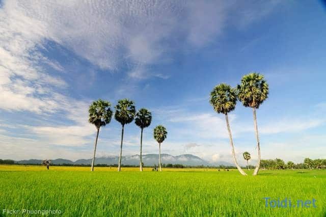 Du lịch An Giang