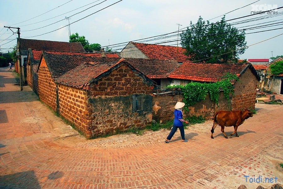 Du lịch Làng cổ Đường Lâm