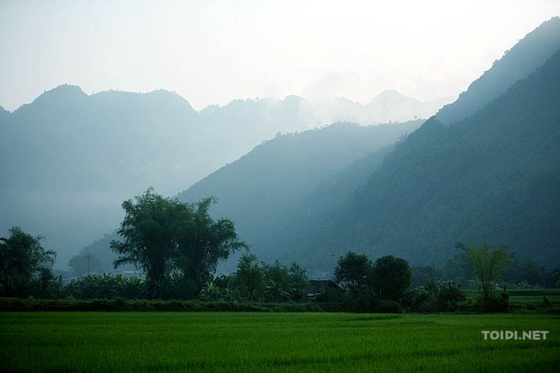 Du Lịch Mai Châu