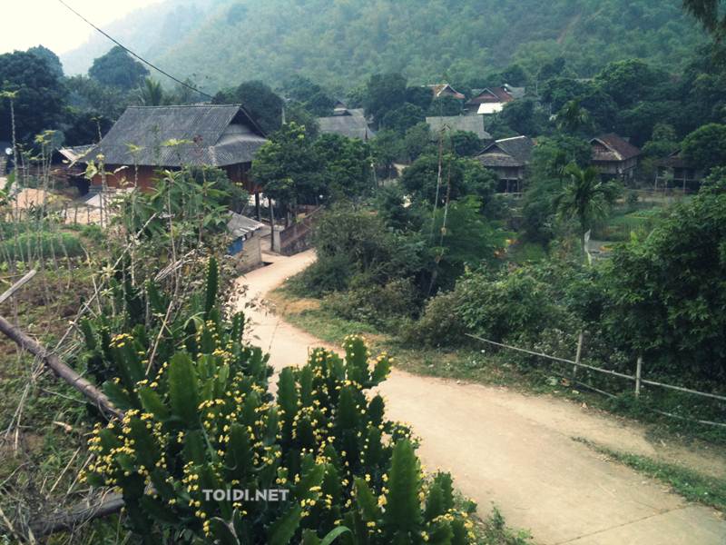 nha san Mai Chau