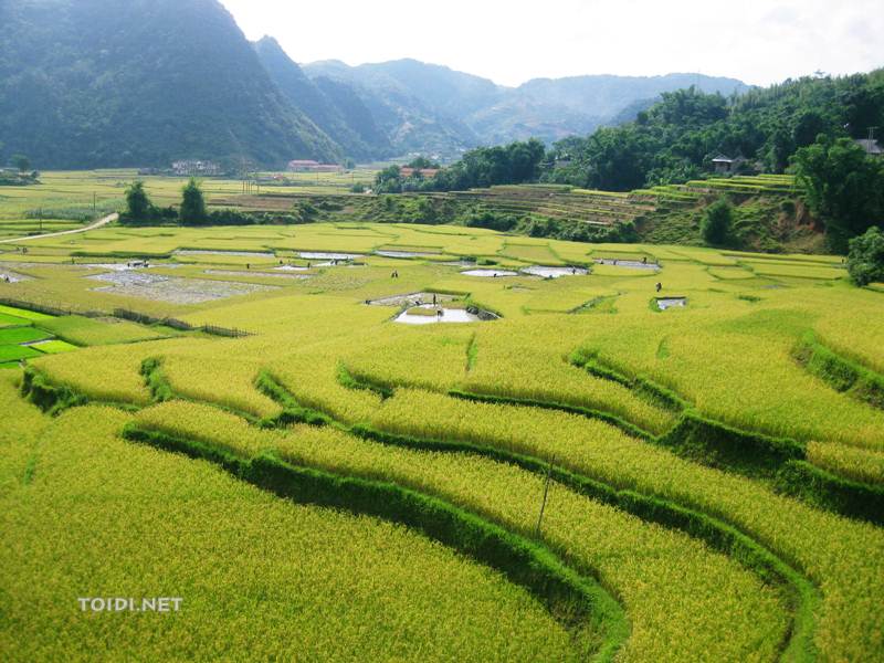 ruong bac thang lung van