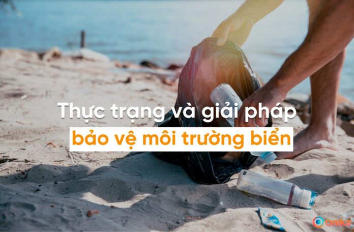Mối lo ngại về môi trường biển