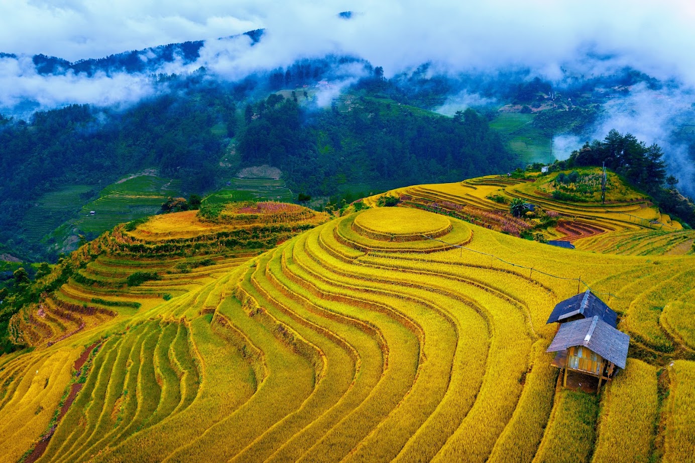 Ruộng bậc thang Mâm Xôi Mù Cang Chải