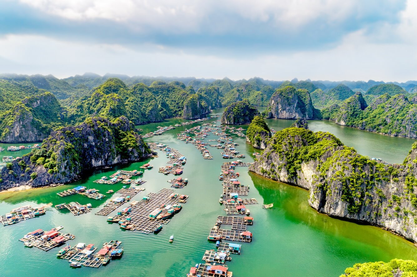Hải Phòng Mùa Hè: Một Chuyến Đi Ngập Tràn Nắng, Gió Và Vị Ngon Khó Quên! 🌸