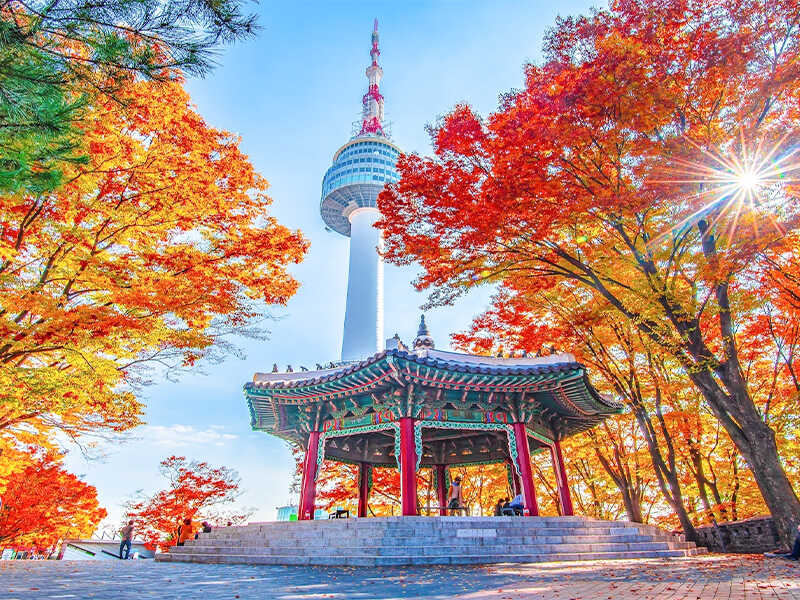 Hàn Quốc Mùa Lá Đỏ – Về Lại Với Mối Duyên Xưa Và Những Trải Nghiệm Thật Khác! 🍂