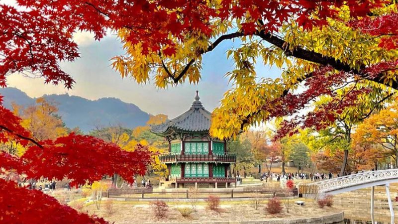 Thung lũng ngập tràn sắc lá đỏ mùa thu ở Hàn Quốc