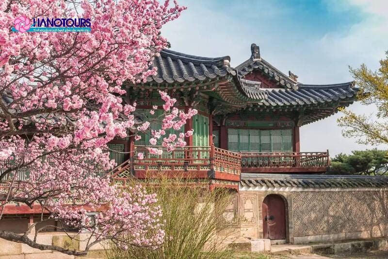 Cảnh sắc mùa thu Hàn Quốc