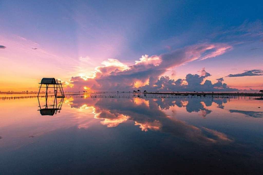 Nộm sứa Thái Thụy