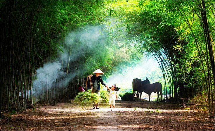 Khung cảnh yên bình của quê hương Hải Dương