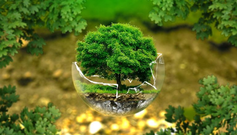 Hình ảnh một người đang trồng cây, biểu tượng cho bảo vệ môi trường