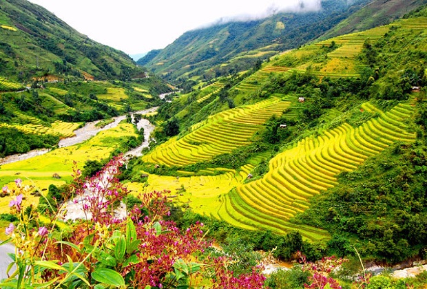 Cảnh đẹp núi rừng Điện Biên hùng vĩ với sương sớm và cây xanh