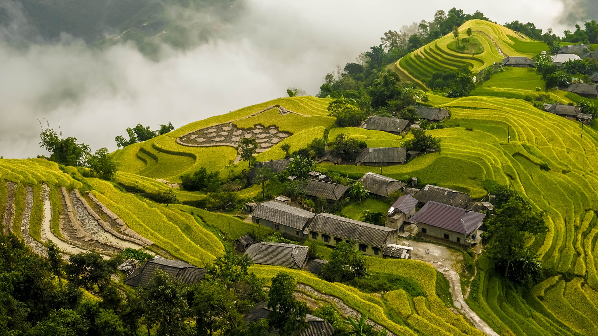 Những cung đường đèo hiểm trở lên Hoàng Su Phì