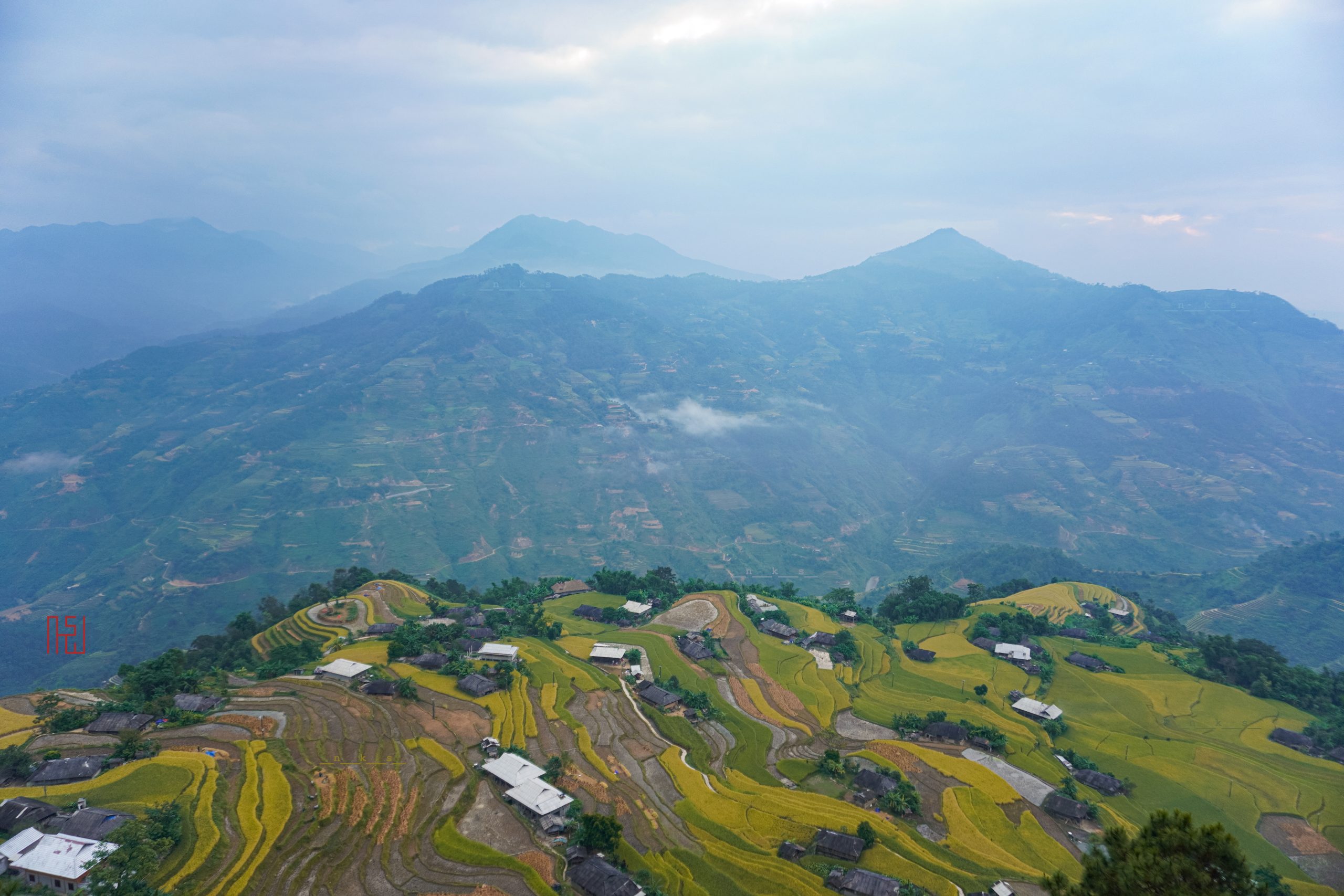 Ruộng bậc thang Bản Phùng mùa lúa chín