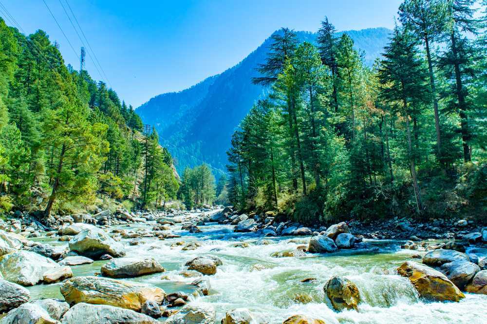 Hôn Lễ Ba Người Ở Himachal: Câu Chuyện Tình Yêu Cổ Xưa Giữa Sóng Gió Hiện Đại