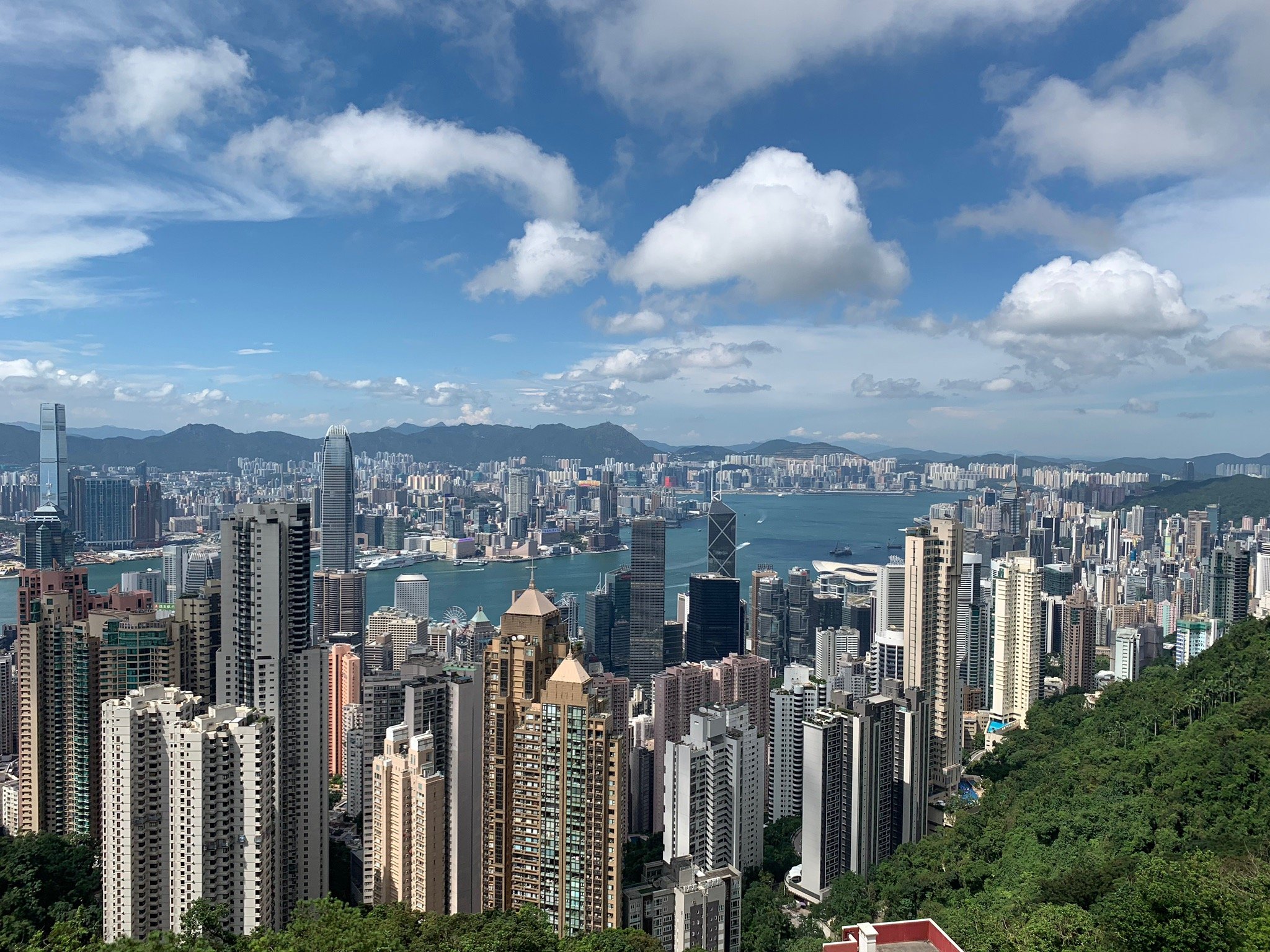 Hong Kong Ơi, Tình Yêu Ấm Lại Giữa Đêm Mưa Lạnh…