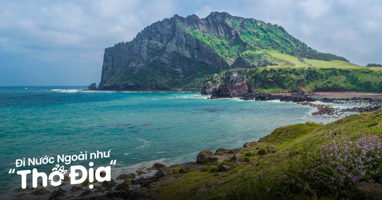 Jeju: Hòn đảo diệu kỳ – Giấc mơ Hàn Quốc gần hơn bạn nghĩ! ✨