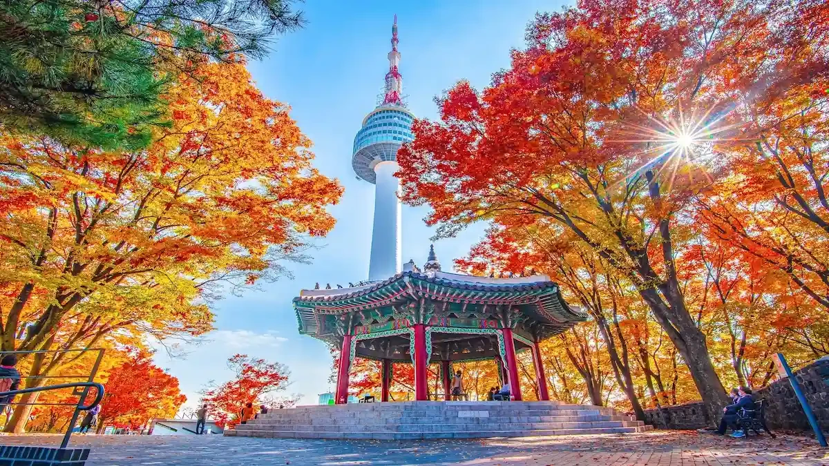 Phong cảnh thơ mộng trên đảo Jeju