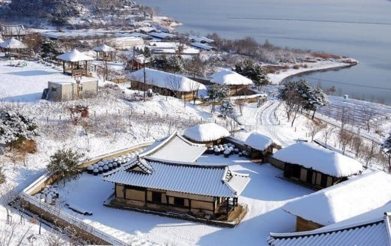 Jeju trong khung cảnh mùa đông tĩnh lặng và thơ mộng