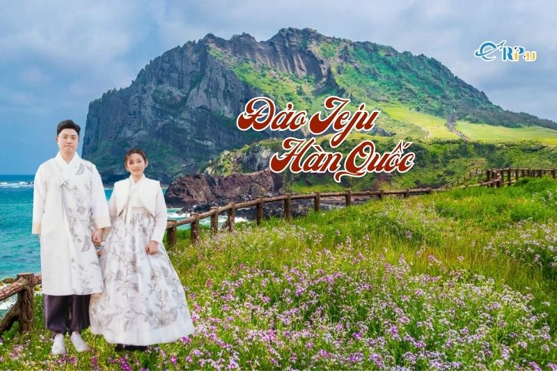 Khung cảnh thiên nhiên hoang sơ với những thảm cỏ xanh mướt ở Jeju