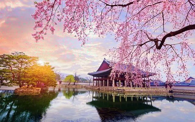 Bãi biển Woljeongri với bãi cát trắng và những cối xay gió ven biển