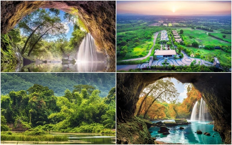 Khao Yai: Chuyến thăm những trái tim khổng lồ và câu chuyện về sự hồi sinh 🌱🐘