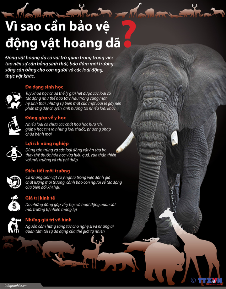 Biểu tượng bảo vệ động vật hoang dã