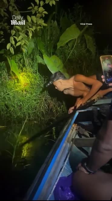 Khoảnh khắc “ngàn cân treo sợi tóc” trên sông Borneo: Khi một hướng dẫn viên đối mặt với trăn gấm khổng lồ!