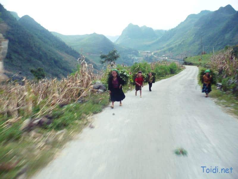 Tư vấn du lịch hà giang