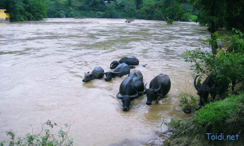 Thông tin du lịch Hà Giang